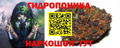 ГАЛЛЮЦИНОГЕННЫЕ ГРИБЫ Туймазы