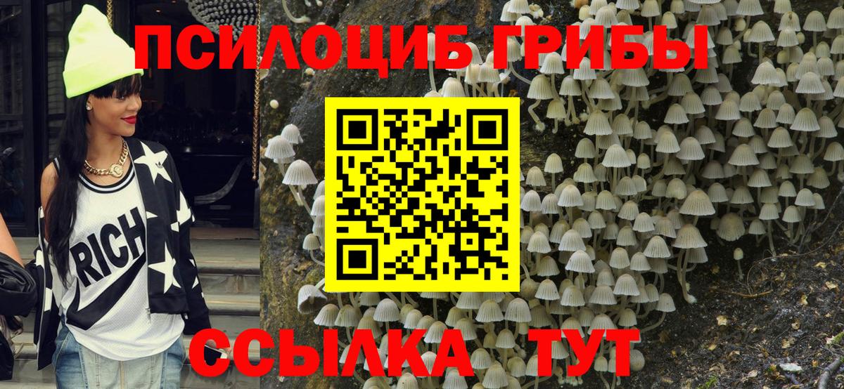 Грязи  Галлюциногенные грибы MAGIC MUSHROOMS  Вход с VPN 